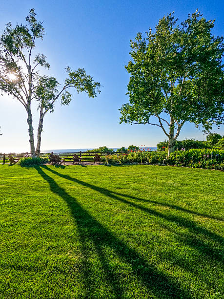 Long Shadows fall over a Grassy landscaped lawn in the late afternoon on a sunny day. Peaceful setting with views to Lake Michigan at the horizon.