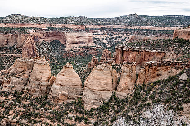Unusual rock formations in Colorado National Monument