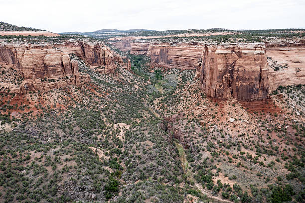 View of Ute Canyon from an overlook in Colorado National Monument