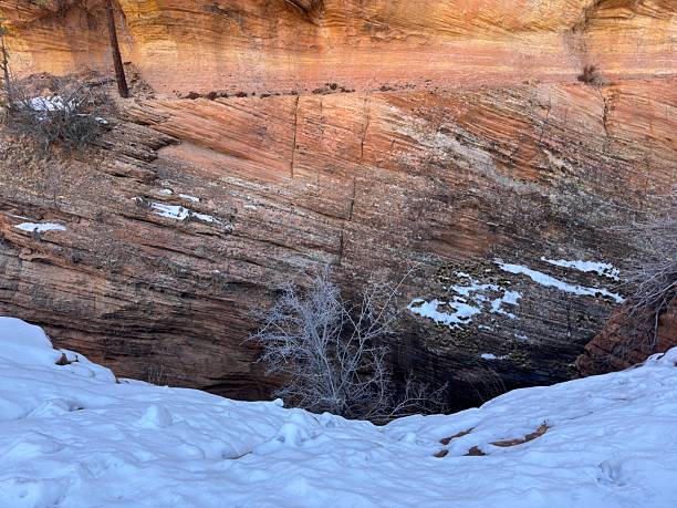 Zion National Park