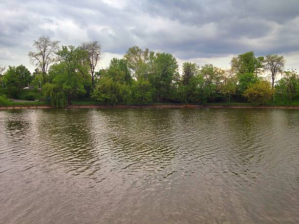 Tranquil lakeside park with lush green trees along the shoreline under a cloudy, overcast sky. Gentle water ripples reflect the greenery, creating a peaceful outdoor scene suitable for nature, relaxation, and travel imagery.