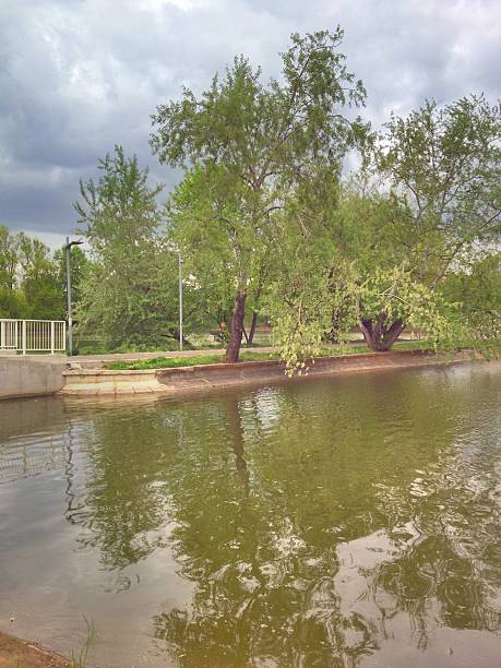 Peaceful urban canal lined with lush green trees and a waterfront promenade. The calm water reflects the overcast sky and surrounding greenery, creating a serene mood perfect for nature, outdoor life, and city scenery themes. Suitable for park, waterfront, and tranquil ambiance stock uses.
