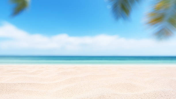 istock Empty tropical sand beach with palm leaves and sunny blue sky copy space scene 2256518111