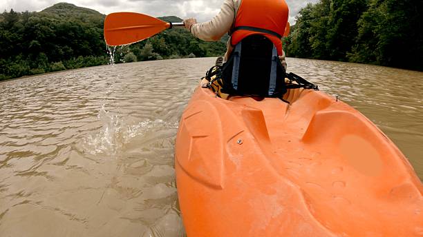 Waterborne adventures, paddling & ecotourism. Mature man connecting with nature on kayak trip in rainforest river. Exploring biodiversity, exercising & body training.