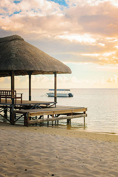 Escape to tranquility with this idyllic beachfront scene featuring a charming thatched-roof wooden jetty extending over calm waters, evoking peaceful marine leisure and rustic coastal retreat vibes.