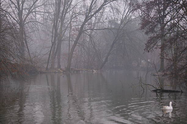 Moody foggy river scene with bare trees reflected on calm water. Soft mist creates a quiet, atmospheric landscape conveying stillness, mystery, and a sense of isolation. The minimalist composition evokes tranquility, introspection, and winter mood.