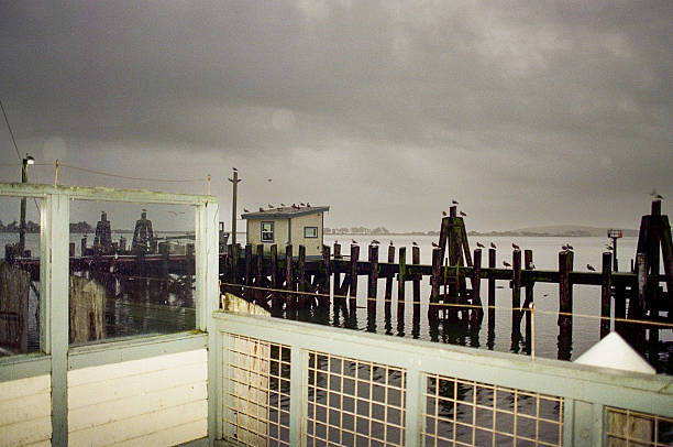Recently on Film