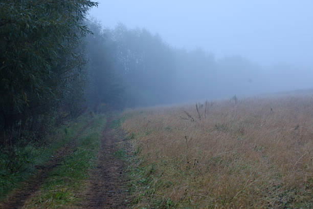 A dirt road runs along the forest edge and an open field, disappearing into a thick blue-gray fog. The lush greenery of the trees on the left contrasts with the muted shades of dry grass on the right, creating an atmosphere of mystery and morning coolness.