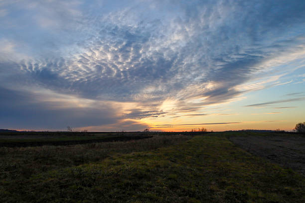 A sunset over a beautiful sunflower field in Ontario, Canada. Sunflowers are very faintly visible. Shot with a Canon 5D Mark iv.