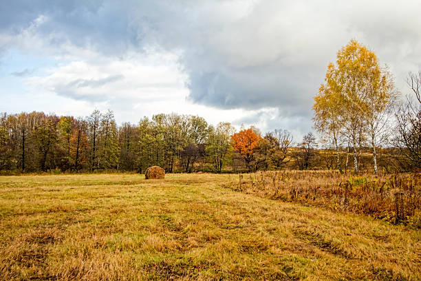 A mown field in late autumn on a cloudy day, Russia