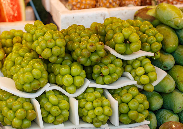 Stock photo showing close-up view of tropical fruit salad chopped papaya, pineapple, watermelon, seedless white grapes and satsuma segments in a white plate.