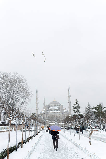 istock Snowfall at the Blue Mosque, Istanbul 2256550280