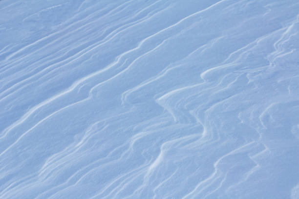 closeup  plain covered by a snow, seasonal natural background
