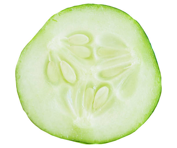 Single cucumber slice isolated on white background. Macro close-up of a fresh green cucumber round with translucent pulp and seeds, raw organic vegetable, healthy food ingredient for salad, vegan and vegetarian nutrition, dieting and detox concept, studio cutout with copy space.