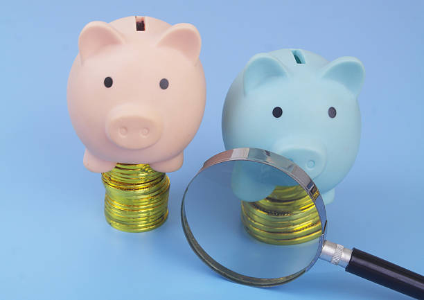 Different piggy banks on gold coins stacks under magnifying glass. Different capitalization of financial funds and banks check.