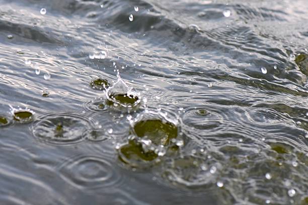 water surface with raindrops