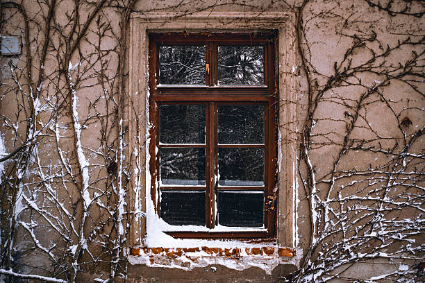 View through the window of the mountain lodge, looking into the forest outside.