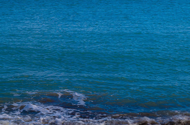 beach, sea, aquatic, ocean, sand, waves, coast, sky, nature, summer, landscape, tropical, vacation, traveling, swell, sea view, blue, sun, the coast, Eden, horizon, cloud, close up up sea