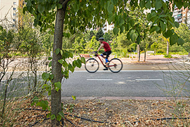 Urban asphalt bike path through trees