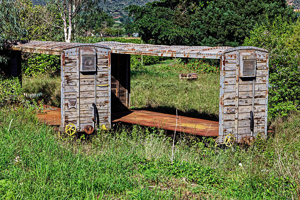 Abandoned narrow gauge rolling stock in an overgrown siding at the Patensie station in the Eastern Cape, South Africa