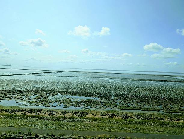A panoramic view of the textured mudflats of the Wadden Sea near Sylt, a UNESCO World Heritage site, under a bright summer sky.