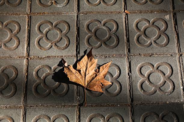 Panot tiles of Barcelona sidewalks. The flower with four petals concrete sidewalk pavement is part of Barcelona eclectic heritage.
