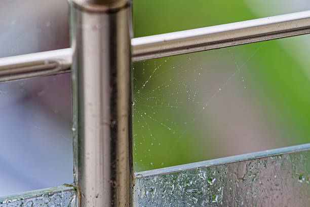 Spiderweb With Water Droplets On Metal Balcony Railing