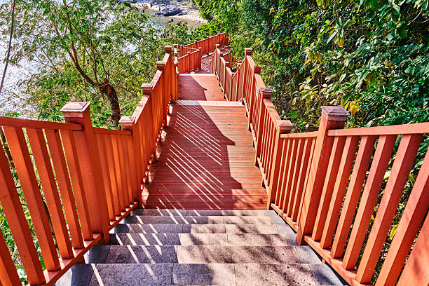 Wooden stairs winding up through green forest trees