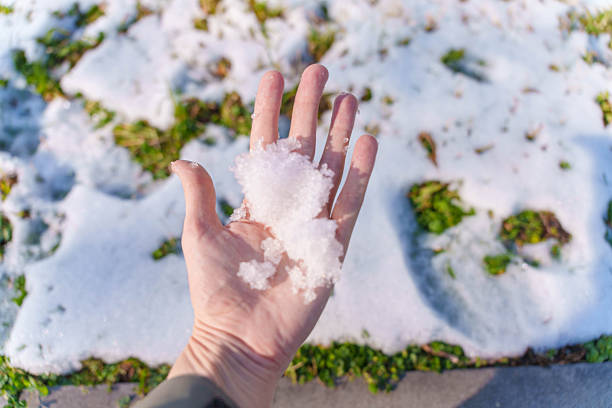 Person shaping snow on grassy ground during light winter snowfall. High quality photo