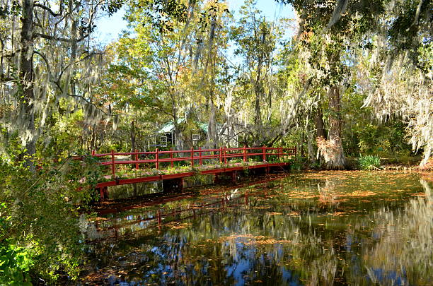 Bridge at Magnolia Plantation and Garden