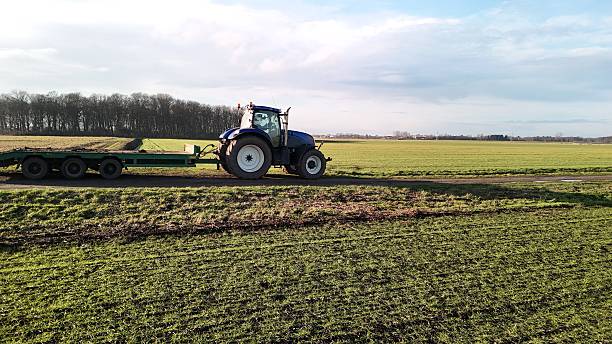 Tulip farm worker equipment in the dutch countryside, farmland in the spring