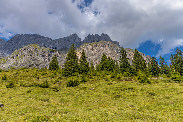 Hochkonig mountain view in Austria with rugged alpine peaks, forested slopes, and open valleys. High altitude landscape showing European Alps terrain, natural geology, outdoor recreation area, hiking destination, rural mountain environment, and scenic nature background