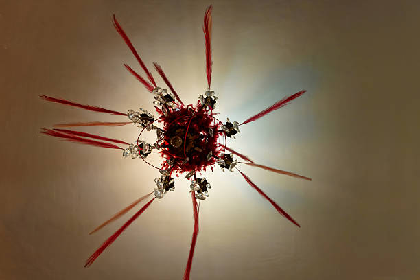 Low Angle View of Red Feather and Crystal Chandelier