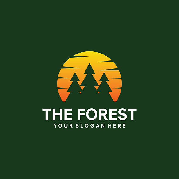 Forest Logo, Vector Forest Wood With Pine Trees, Design Inspirational Badge Label Illustration