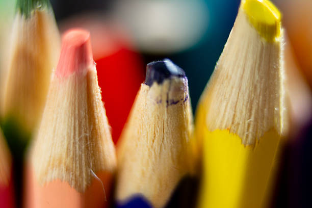 macro photography of colored pencils