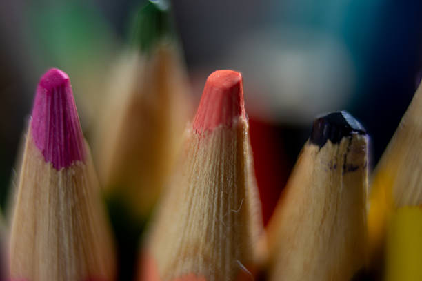 macro photography of colored pencils