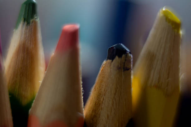 Color Pencil Macrophotography