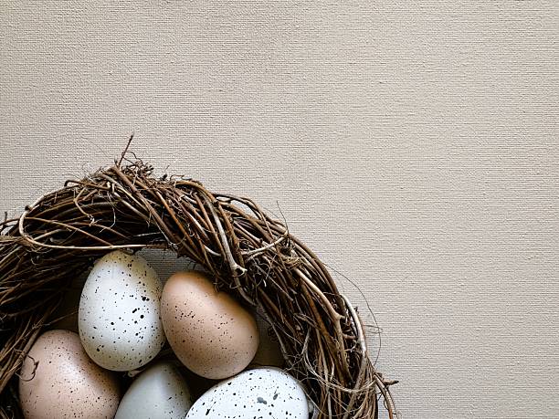 Top view of mixed grey, white, and brown eggs in a nest with copy space for Easter (Ostern). Minimalist web design, marketing flyers, and spring invitations.