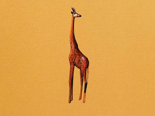 Giraffe calling for her offspring