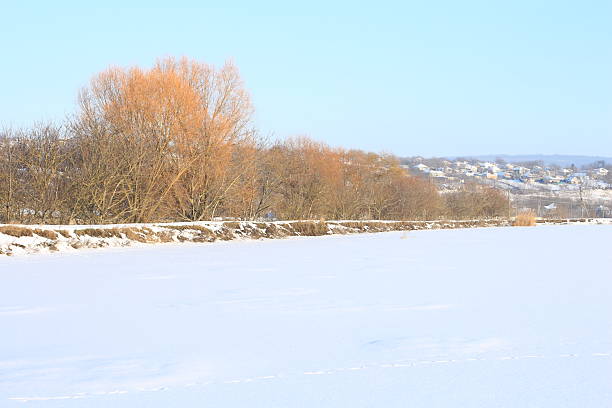 A snowy field with trees and a town in the distance. Outdoor. Sky. Snow. Nature. Shore