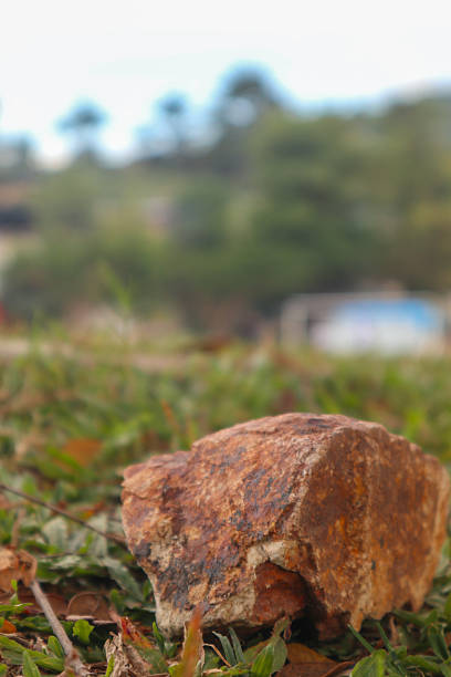 Close-Up Of A Rock On Grassy Ground
