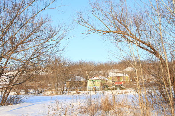 Winter in the garden
