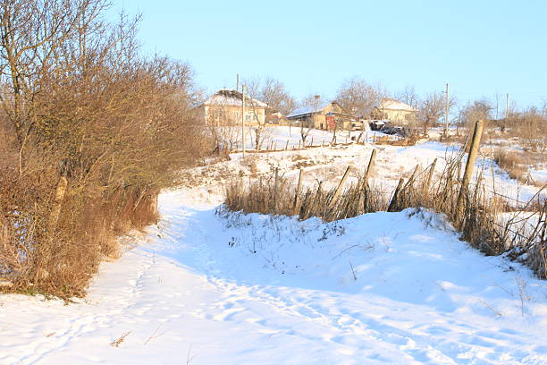 A snowy field with trees and houses. Outdoor. Snow. Sky. Nature
