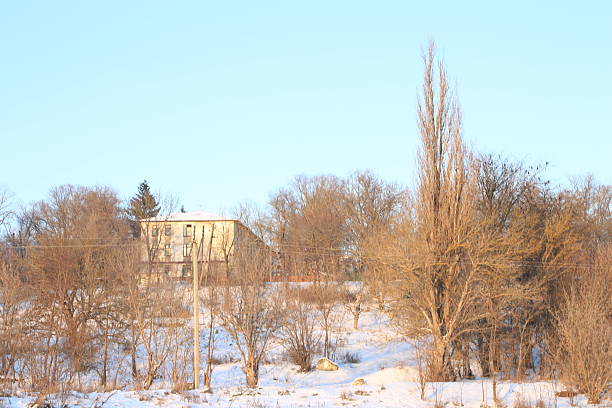 A peaceful winter view featuring a yellow historical building surrounded by snow-covered trees and walkways. St-Petersburg, Russia