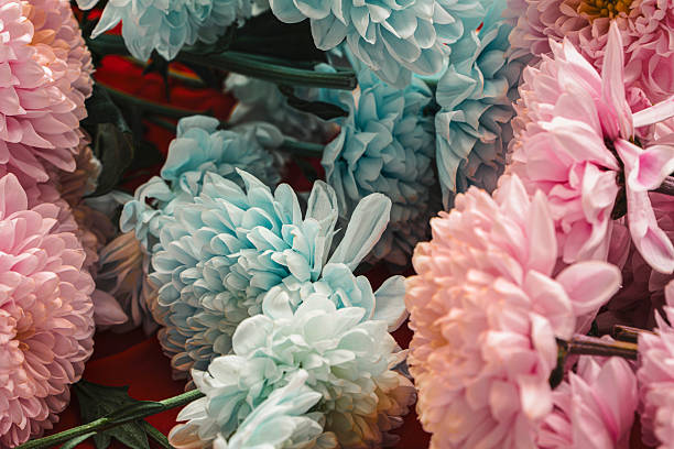 Bouquet of flowers