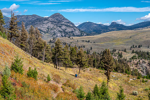 Hikers walk along a rustic trail toward a hanging bridge in Yellowstone National Park, Wyoming, surrounded by autumn landscape and wilderness scenery.