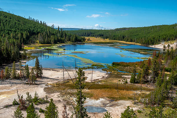An early autumn scenic view of Nymph Lake in Yellowstone National Park