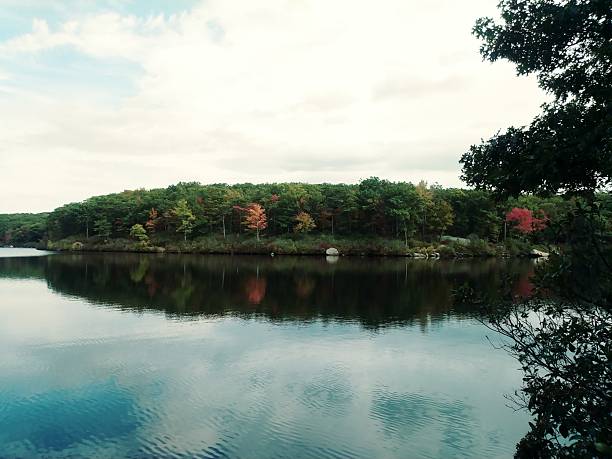 A peaceful view of lush green forest reflected on the calm surface of a lake. The vivid colors and gentle ripples create a serene and refreshing atmosphere, showcasing the beauty of Japan’s natural landscapes.