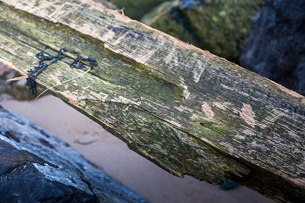 Under the pier, drift wood, wooden textures and rusty nails. Weathered wooden beams with visible grain and texture support a pier. Rusty metal bolts and nails secure the structure, displaying a combination of weathering and corrosion. The scene suggests exposure to marine elements, with the beach in the background. The aged wood and rust create a rustic, historical appearance, evoking the harsh conditions typical of coastal environments.