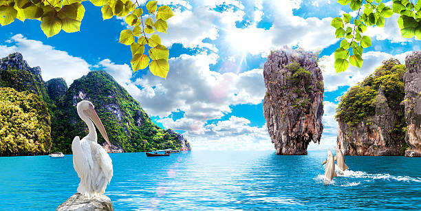 Scenery Thailand sea and island .Adventures and travel concept